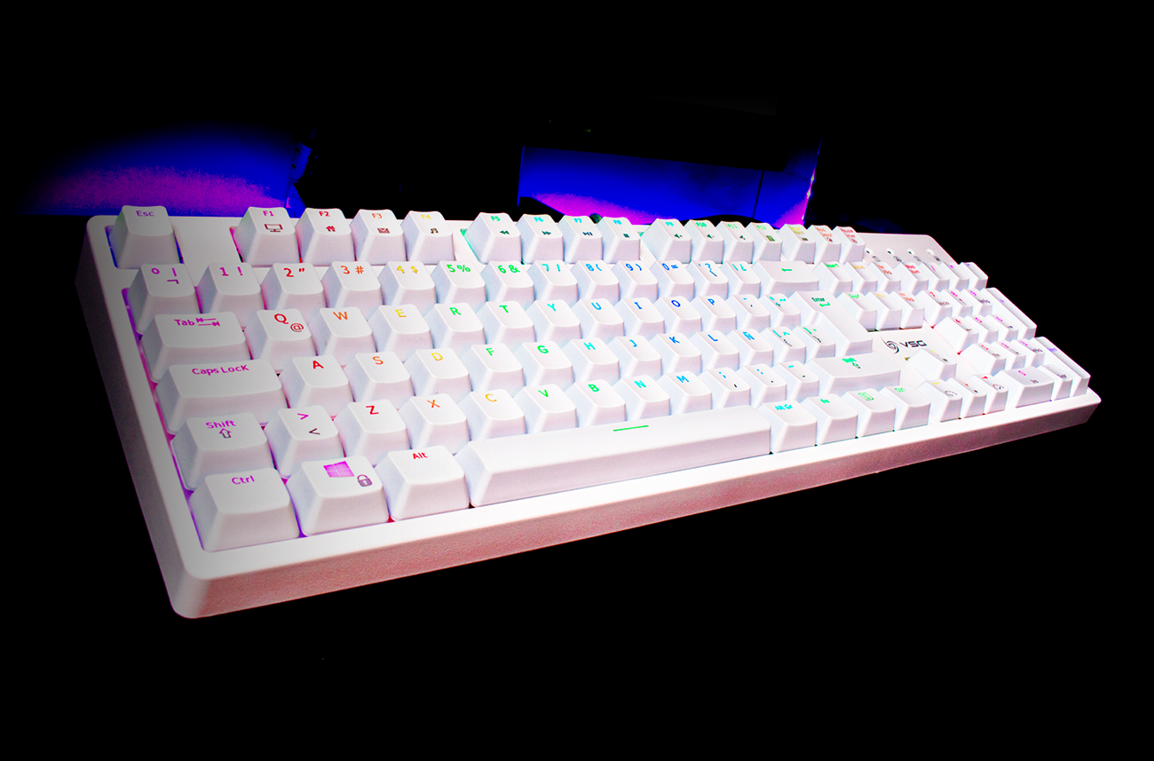 Blanco / Regular Azul